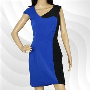 2/$50 NWOT Jay Godfrey Blue & Black Sleeveless Dress Size 2 | Chic & Modern
